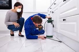 Best Fumigation Services  in Midland, PA